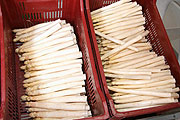 Wengerhof Spargel in diversen Sortiereungen (Fotos.Martin Schmitz)